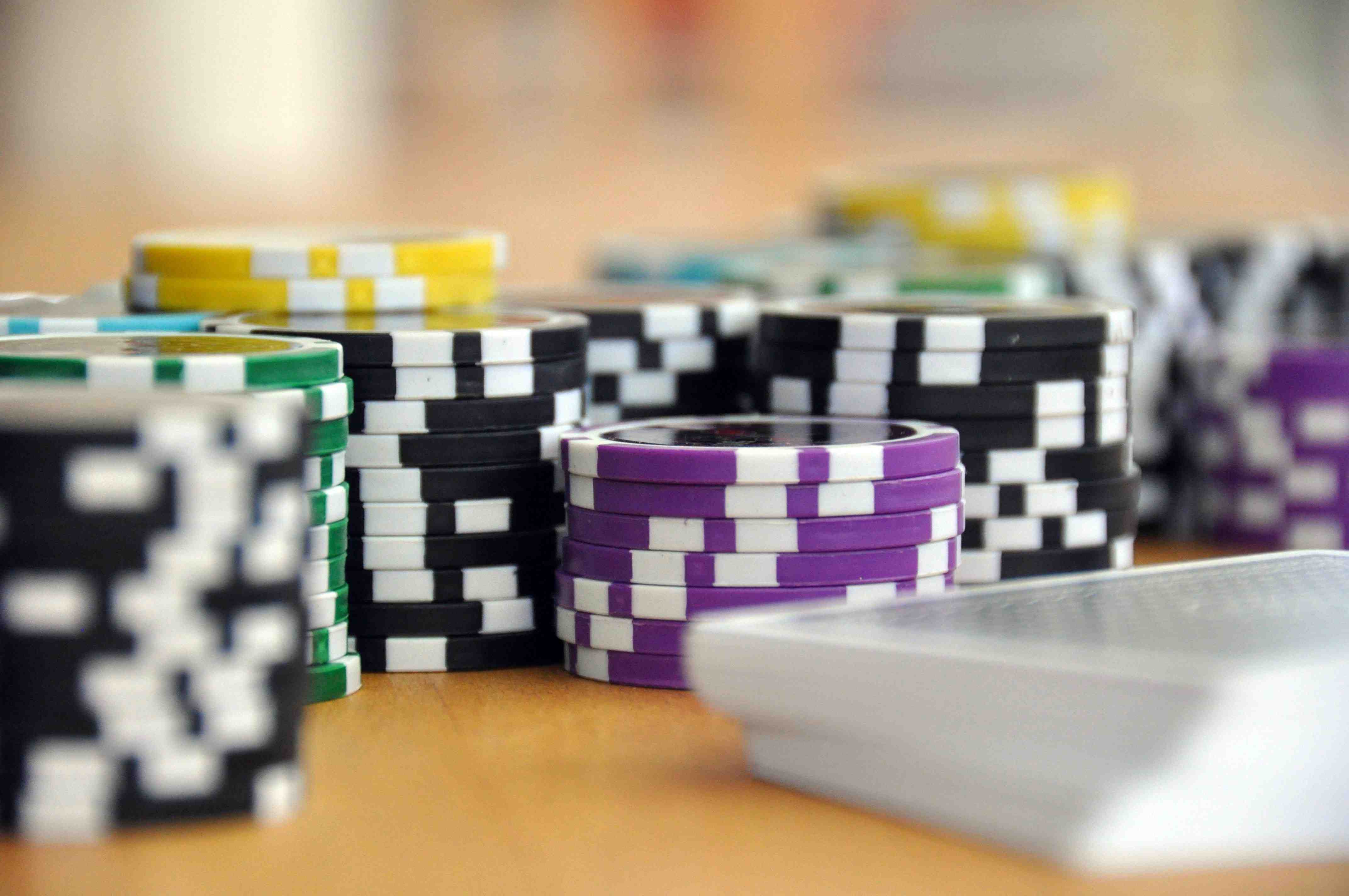 bingoplis