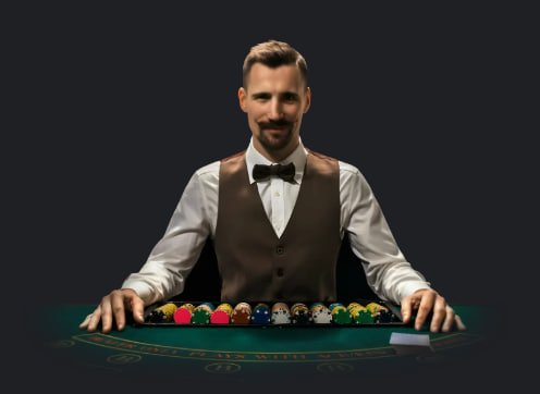 bingoplis